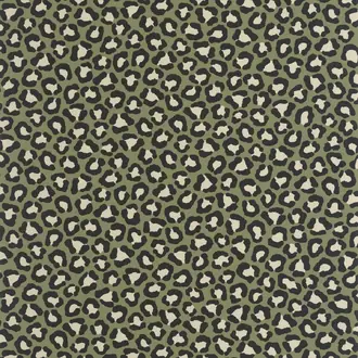 Sumatra 104947923