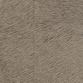 Natives CV 101 40