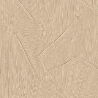 Shards 42501