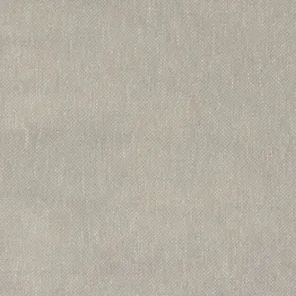 Kauri 36181034