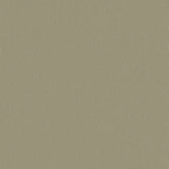 Papyrus 17361-005