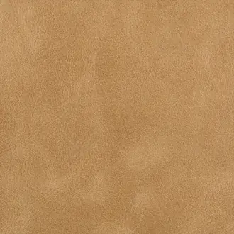 Bern L-BERN-SCOTCH