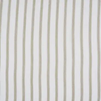 Nefertiti F3298001