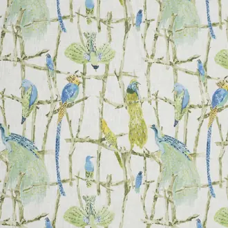 Exotic Birds 2330-01