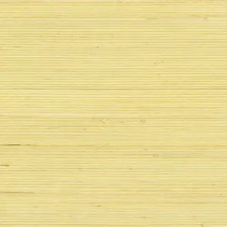 Coiba RM 110 60