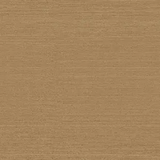 Xerxes CS21