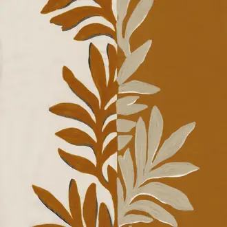Sophora 31550386
