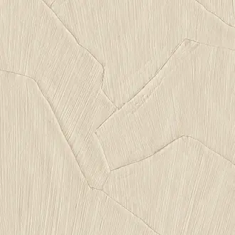 Shards 42502