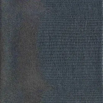 Boa 10716