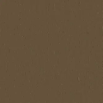 Papyrus 17361-006