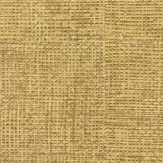 Raffia hpc CV 111 20