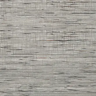 Zephyr MTS43