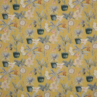 Atrium Ochre