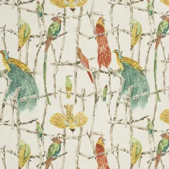 Exotic Birds 2330-02