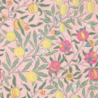 Fruit 510010