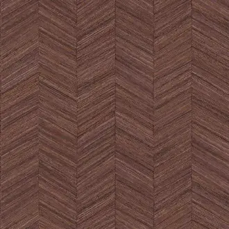 Ocotea B75372854