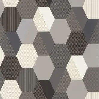 Hexagone 10010 90 23