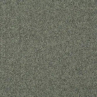 Bonsai Reboot CH2955-032