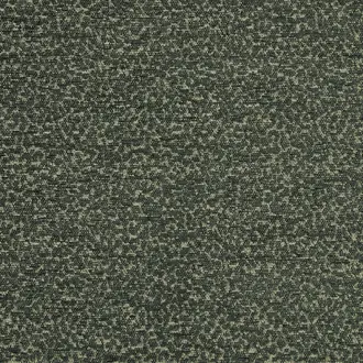 Elutor Evergreen