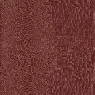Boa 10717