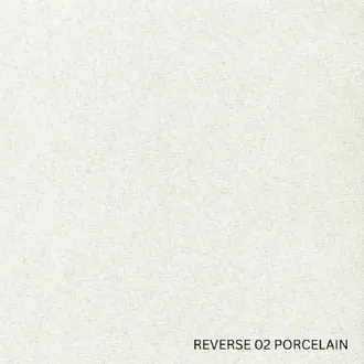 Lunar 02 Porcelain