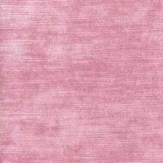 Mossop Old Rose