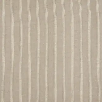 Nefertiti F3298002