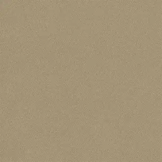 Brinzio FDG3231-01