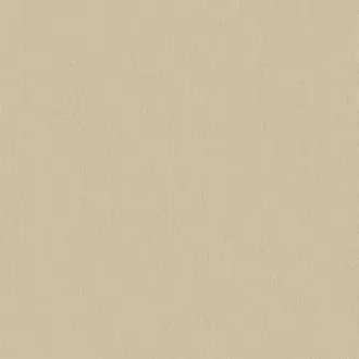 Papyrus 17361-007