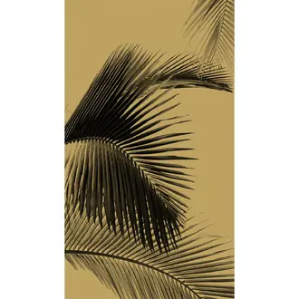 Honey Palm 10129 20 98