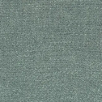 Kauri 36182058