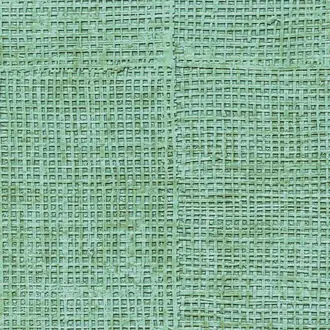 Raffia hpc CV 111 42