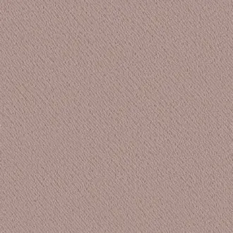 Silent Mode FR 11035494