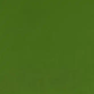 Smooth Asparagus