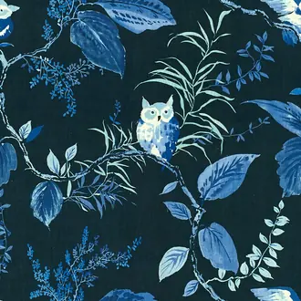 Owlish Navy OWLISH-50