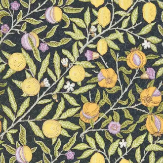 Fruit 510019