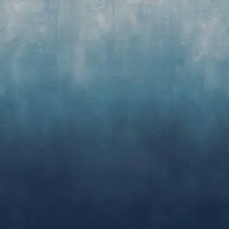 Bubbles 27713