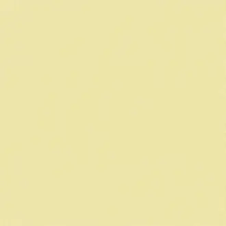 Papyrus 17361-008
