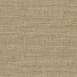 Abaca ABA32
