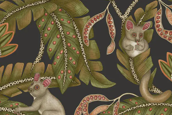 Bush Baby Wallpaper Ardmore Jabula Collection by Cole & Son