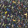 Birds Sinfonia Crepuscule FCL7024-02