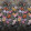 Tapestry Flower PDG1153-02