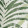 Havana Palm on White Manila Hemp 6094