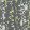 Botanica French Grey 7564-02