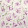 Variegated Azalea Violet PJD6004-02