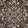 Byzantine Flock Charcoal W364-02