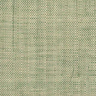 african-raffia-two-tone-green-3581-wallpaper-phillip-jeffries.jpg