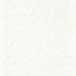 ajanta-312956-perfect-white-wallpaper-folio-zoffany