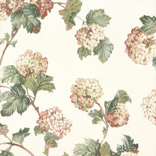 anna-french-sussex-hydrangea-wallpaper-at57848-soft-gold