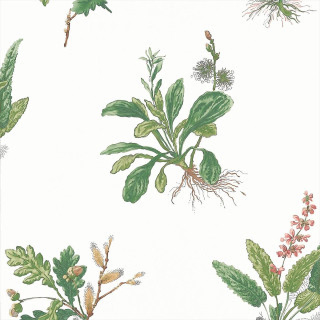 anna-french-woodland-wallpaper-at57852-green-and-blush